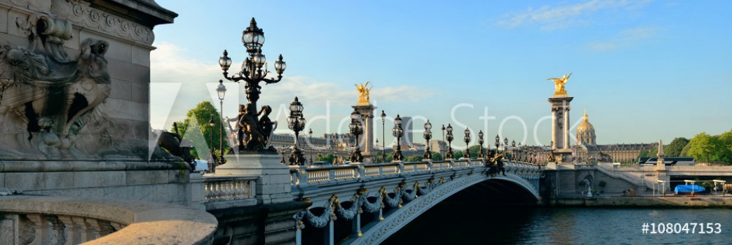 Picture of Paris Alexandre III panorama